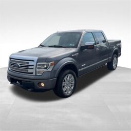 
										2014 Ford F-150 Platinum full									