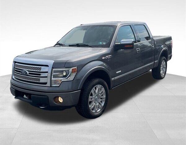 
								2014 Ford F-150 Platinum full									