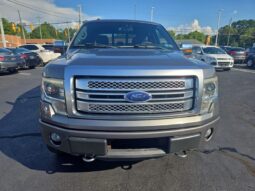 
										2014 Ford F-150 Platinum full									