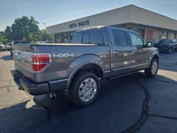 
										2014 Ford F-150 Platinum full									