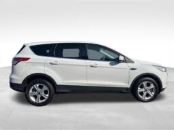 
										2014 Ford Escape SE full									