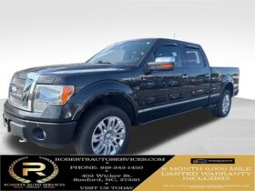 2012 Ford F-150 Platinum