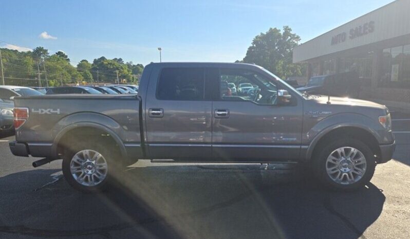 
								2014 Ford F-150 Platinum full									