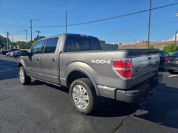 
										2014 Ford F-150 Platinum full									