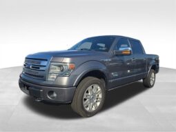 
										2014 Ford F-150 Platinum full									