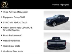 
										2015 Ford F-150 Platinum full									