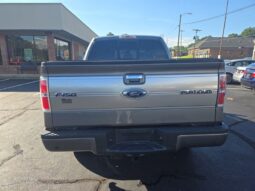 
										2014 Ford F-150 Platinum full									