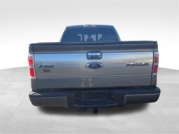 
										2014 Ford F-150 Platinum full									