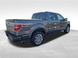 
										2014 Ford F-150 Platinum full									