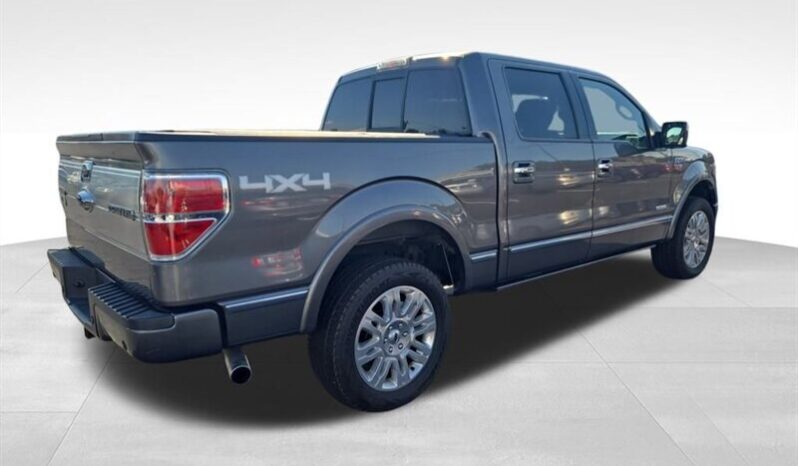 
								2014 Ford F-150 Platinum full									