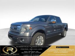 2014 Ford F-150 Platinum
