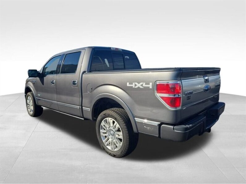 
								2014 Ford F-150 Platinum full									