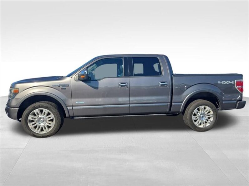 
								2014 Ford F-150 Platinum full									