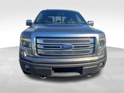 
										2014 Ford F-150 Platinum full									