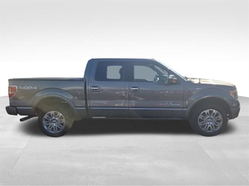 
								2014 Ford F-150 Platinum full									