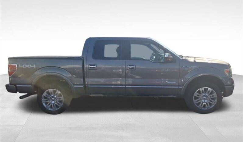 
								2014 Ford F-150 Platinum full									