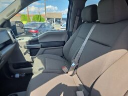 
										2019 Ford F-150 XLT full									