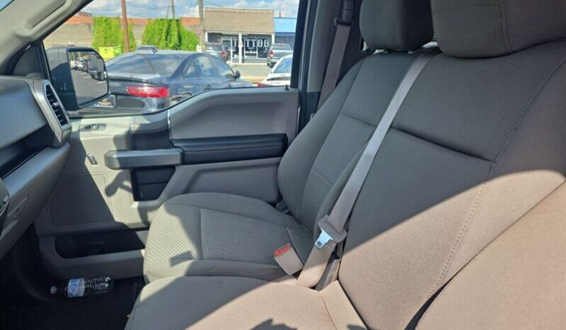 
								2019 Ford F-150 XLT full									