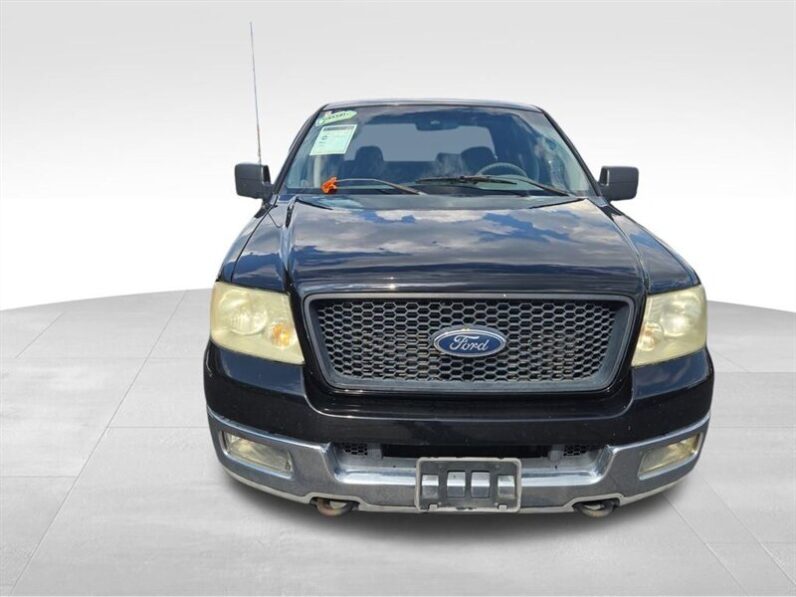 
								2004 Ford F-150 XLT full									