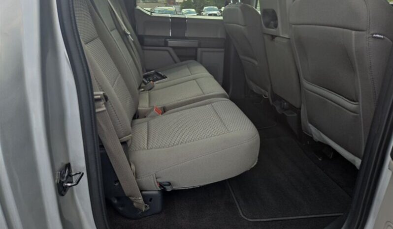 
								2019 Ford F-150 XLT full									
