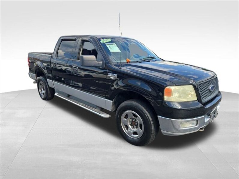 
								2004 Ford F-150 XLT full									