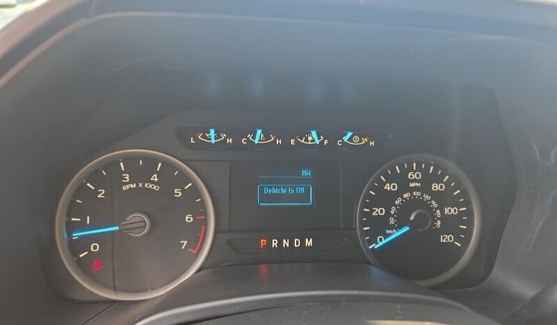 
								2019 Ford F-150 XLT full									